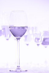 Many glasses of rose wine at wine tasting. Concept of rose wine and variety. Ultra violet tone, color of the year 2018
