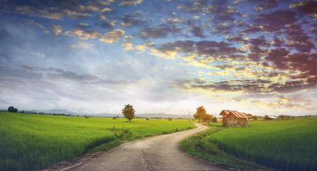 Naklejka premium country road and beautiful sunset on sky