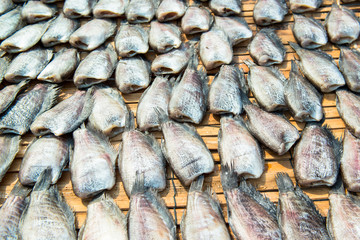 The fish in the sun on the bamboo weave.