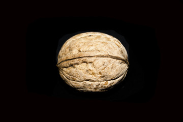 walnut isolated on white background