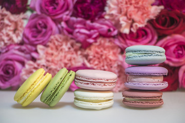 Beautiful Spring Flower Concept Photos