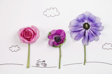 Beautiful Spring Flower Concept Photos