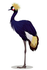 Black crowned crane cartoon