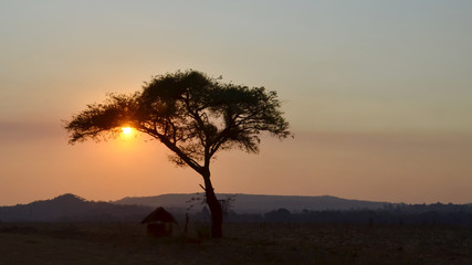 The sun sets behind a lone acacia tree, next to an African hut, in Zimbabwe