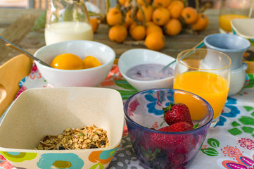 Close up of healthy breakfast with oats, granola and strawberries
