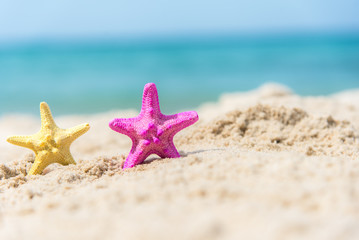 Fototapeta na wymiar Colourful Starfish on the beach background blue sky. Summer Concept