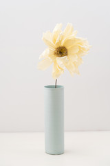 Single faded coral charme crepe paper peony in a vase on white  wooden background