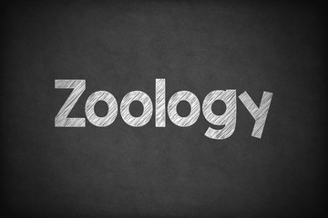 Zoology on Textured Blackboard.