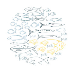 Sea fish. Vector sketch  illustration.