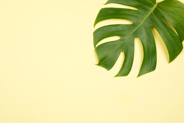 Fototapeta na wymiar Tropical palm leaf on yellow background. Flat lay, top view. Summer background
