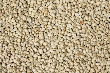 Fototapeta premium Dried raw coffee grains