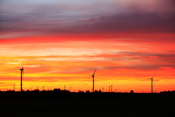 Wind turbines in the evening