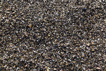Wet sea pebbles and broken shell.
