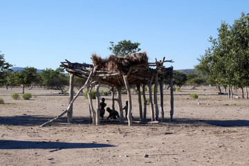 Himba village with traditional huts near Etosha National Park in Namibia, Africa