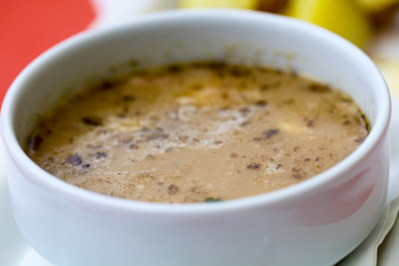 Polish soup