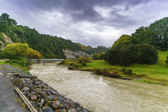 Light rain along the way on Whanganui river road in National Park in Autumn , Whanganui , North Island of New Zealand