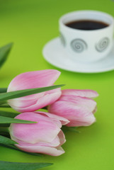 Fototapeta na wymiar Pink Spring Tulips over a Green background, in a flat lay composition with Copy space. Spring flowers with Cup of cofee.