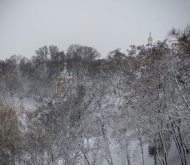 Golden cupola domes between trees in the park