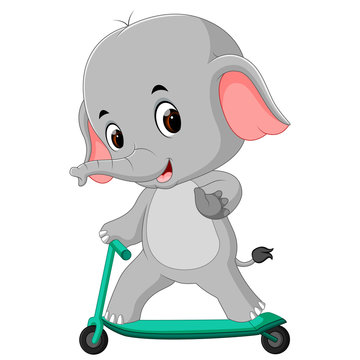 cute elephant riding push scooter