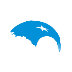 Somalia flag, vector illustration