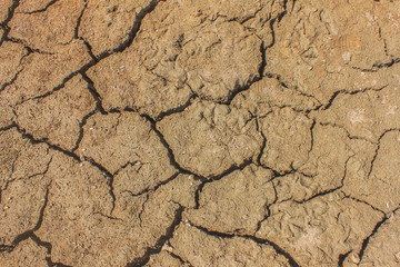 Dry land