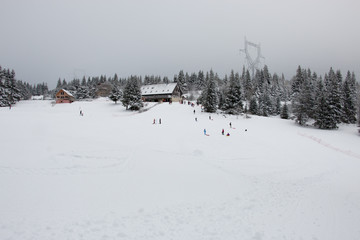 Ski resort winter sports sledding