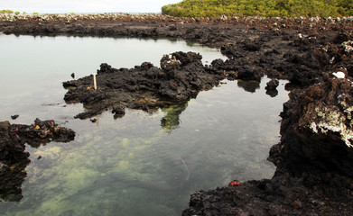 Fazinierende Landschaft auf den Galapagos Inseln