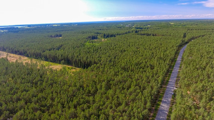 Fototapeta na wymiar Aerial view of road across the forest