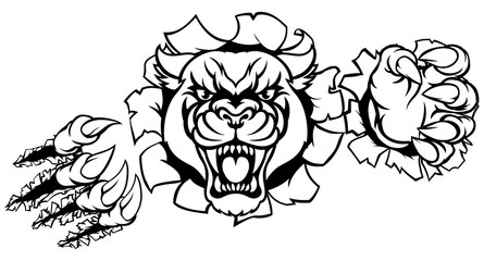 Black Panther Tiger Background Breakthrough © Christos Georghiou