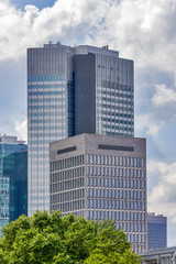 Obraz premium River and skyscraper in Frankfurt am Main, Germany