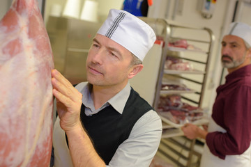 inspecting the hanged meat