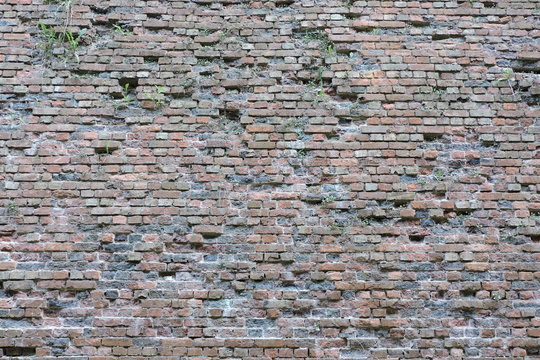 Fototapeta Old red brick wall texture