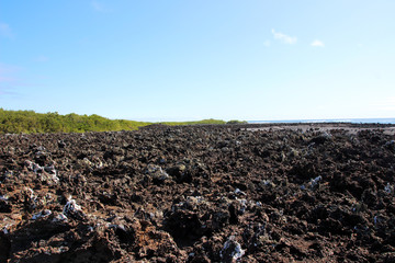 Faszinierende  Landschaft von Vulkangestein auf den Galapagos Inseln