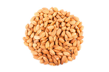 Almonds seed