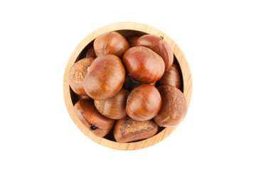 chestnut isolated