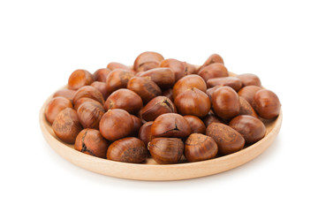 chestnut isolated