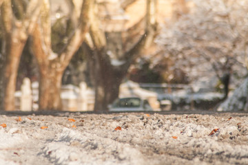 Closeup of snow and leaves on a road in Rome at sunrise with trees in the background - obrazy, fototapety, plakaty