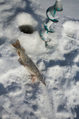 winter fishing