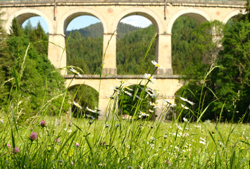 Field flowers on the background of the aqueduct. The Semmering railway in Austria was the first mountain railway in Europe built with a standard gauge track.