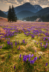 Spring in Tatra Mountains