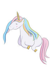 Fototapeta na wymiar Illustration with a magic animal unicorn