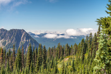 Woods and mountains of Oregon