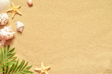 Fototapeta na wymiar Summer beach. Starfish and seashell on the sand