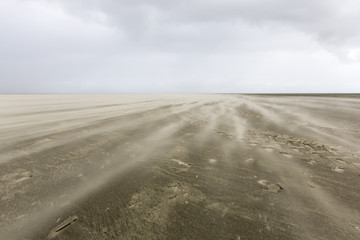 Stormy beach on a nature reserve in Holland in winter