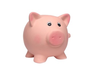 Piggy bank with money