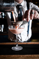 Cocktail bar bartender