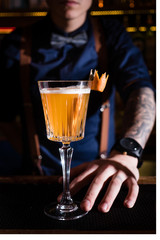 Cocktail bar bartender