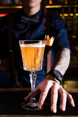 Cocktail bar bartender