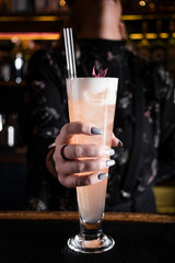 Cocktail bar bartender