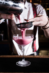 Cocktail bar bartender